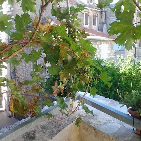 Apartment Donika Komiza