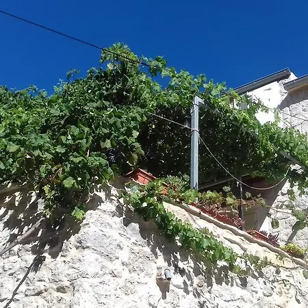 Apartmán Donika