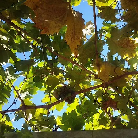 Appartement Donika *