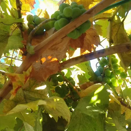 Donika Appartement *